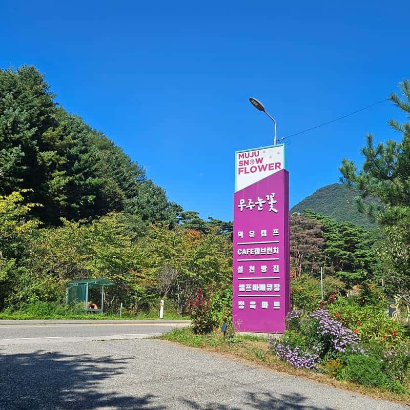 [무주]눈꽃 피자 만들기 체험 유리온실 카페 아메리카노2잔 사진 7