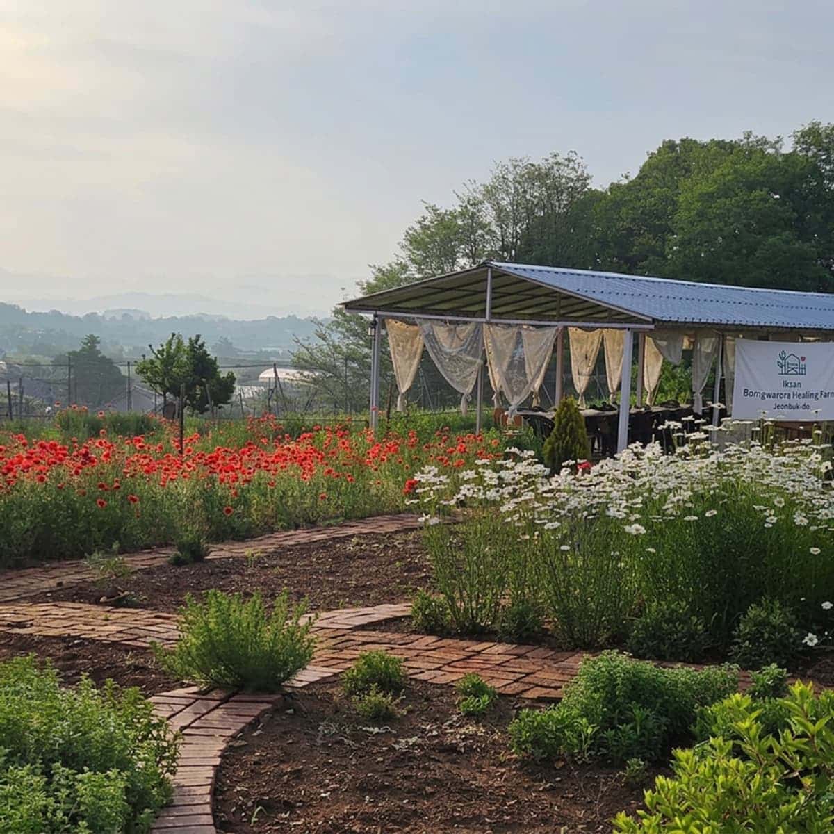 [Iksan/Same-day] Bomgwarora Healing Farm - Five Senses Farmnic 🧺🌿 photo 8