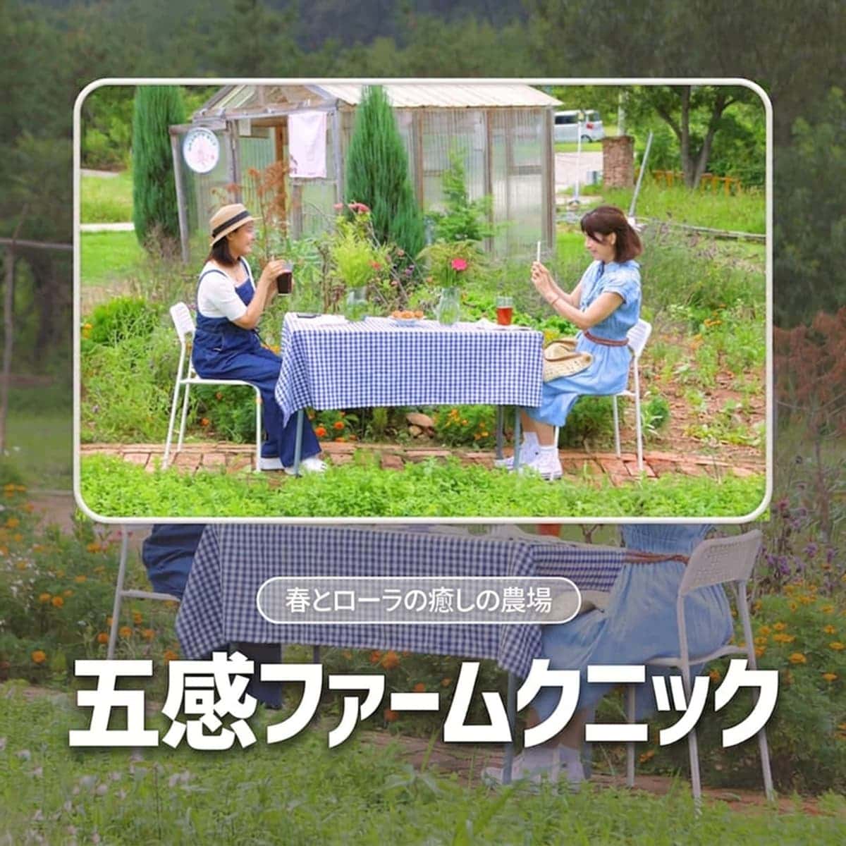 [益山（イクサン）/日帰り] 春とローラ治癒農場 - 五感パームクニック（Five Senses Farmnic） 🧺🌿の写真1