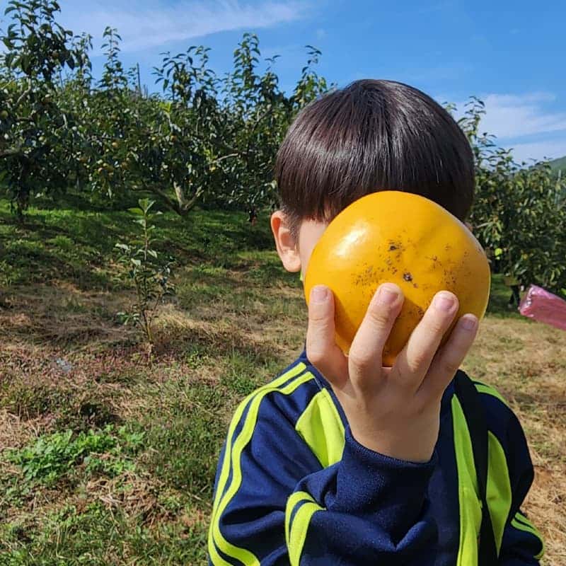 [당일/1박] 진주 가뫼골 별빛 촌캉스🔭💫 ㅣ 시골BBQ+쌀파운드케이크+불멍+별멍 사진 5