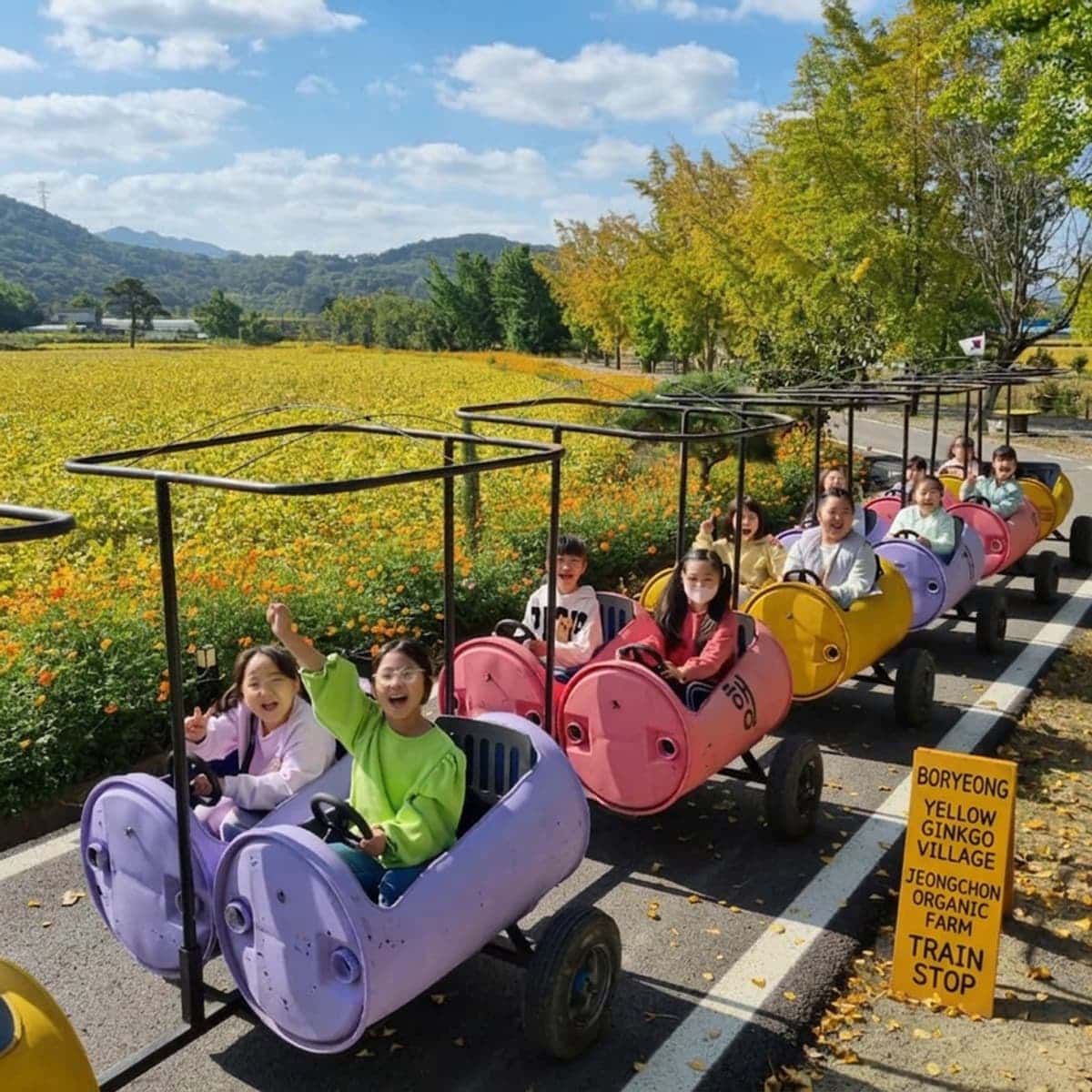 [Day Trip/Boryeong] Rye Straw Making & Peanut Train Tour Included | Walking with You in the Yellow Ginkgo Village 🌾 photo 2