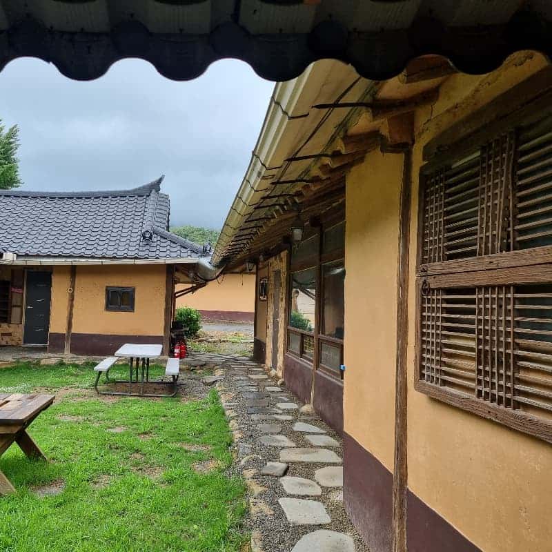 [당일/보령] 호밀빨대와 땅콩기차투어 제공 ㅣ 너랑노랑 은행마을 걷쮸 🌾 사진 5