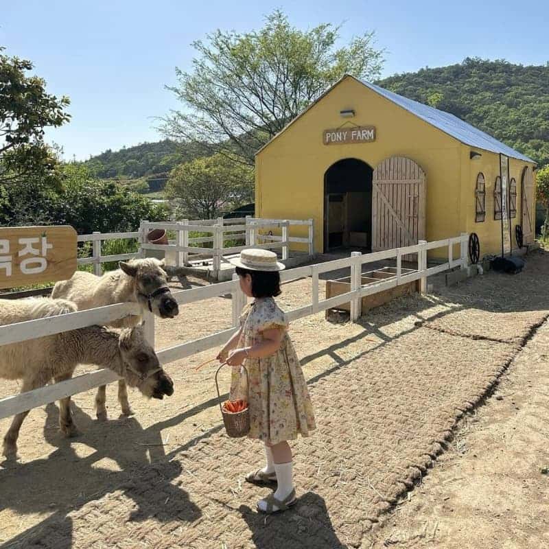 [1박/완도] 아내의 소리 산책ㅣ바다치유길 소리산책+완도바다한상+카라반+포니 체험🐴 사진 4