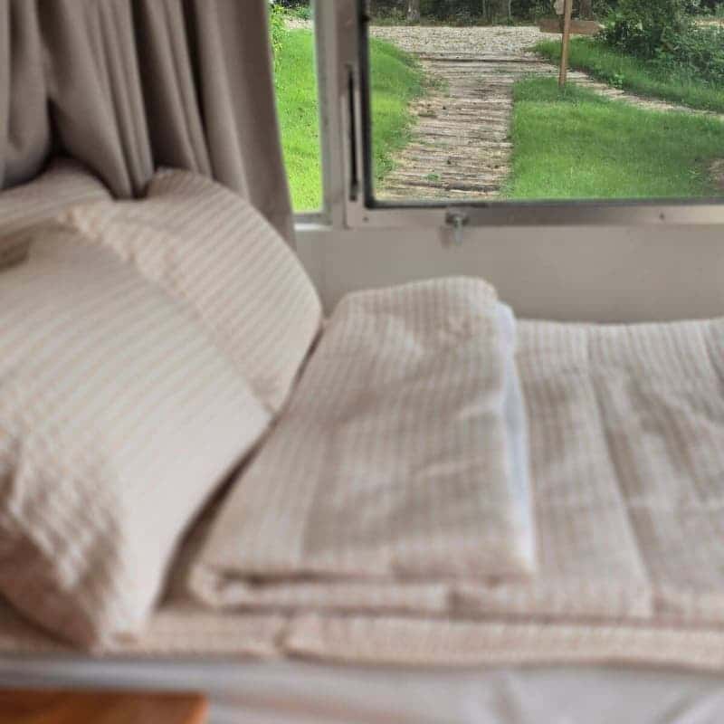 [1박/완도] 아내의 소리 산책ㅣ바다치유길 소리산책+완도바다한상+카라반+포니 체험🐴 사진 3