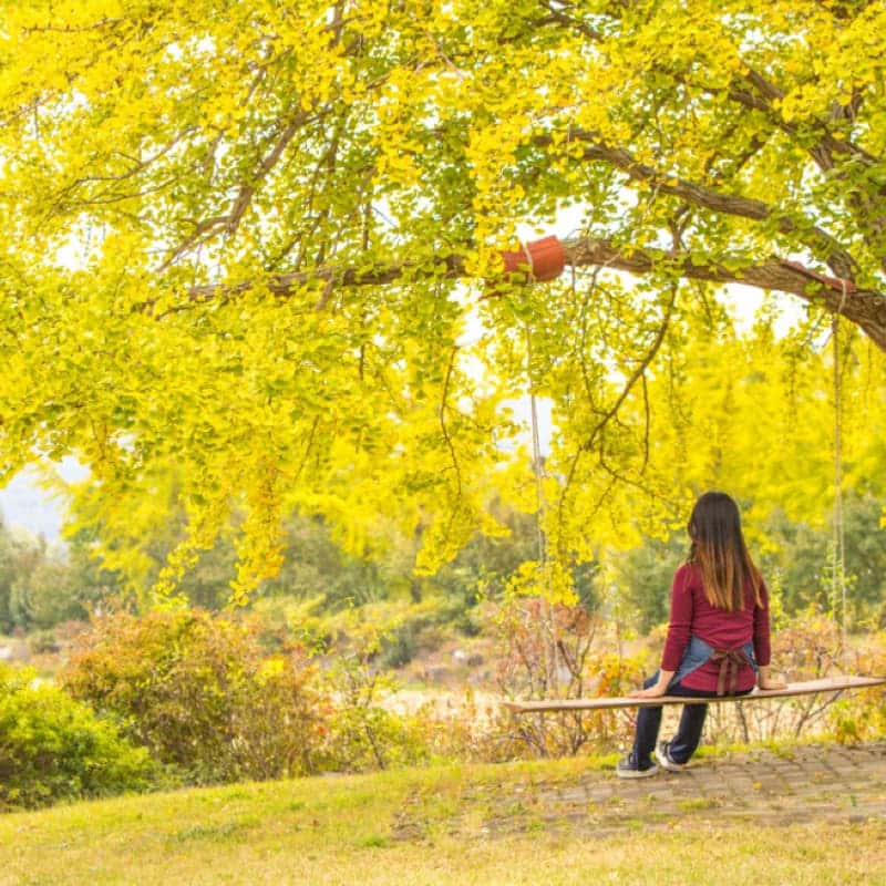 [당일/보령] 호밀빨대와 땅콩기차투어 제공 ㅣ 너랑노랑 은행마을 걷쮸 🌾 사진 1