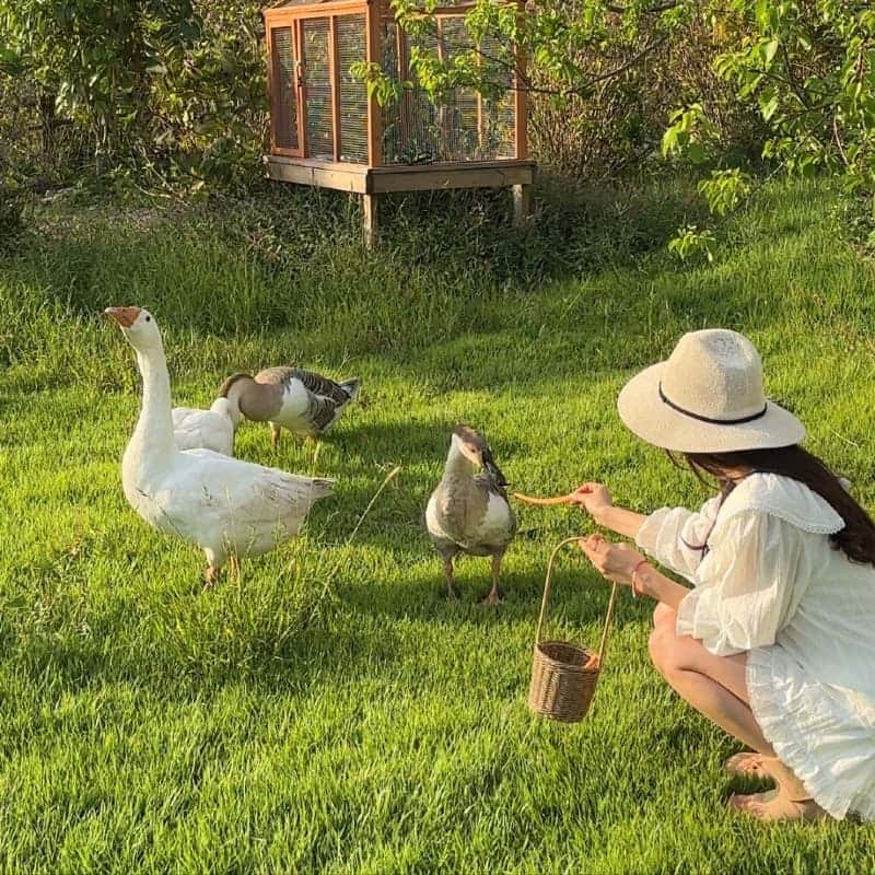 [1박/완도] 치유농장 아내의정원 ㅣ 카라반 + 압화체험 + 해산물바베큐 🌷 사진 3