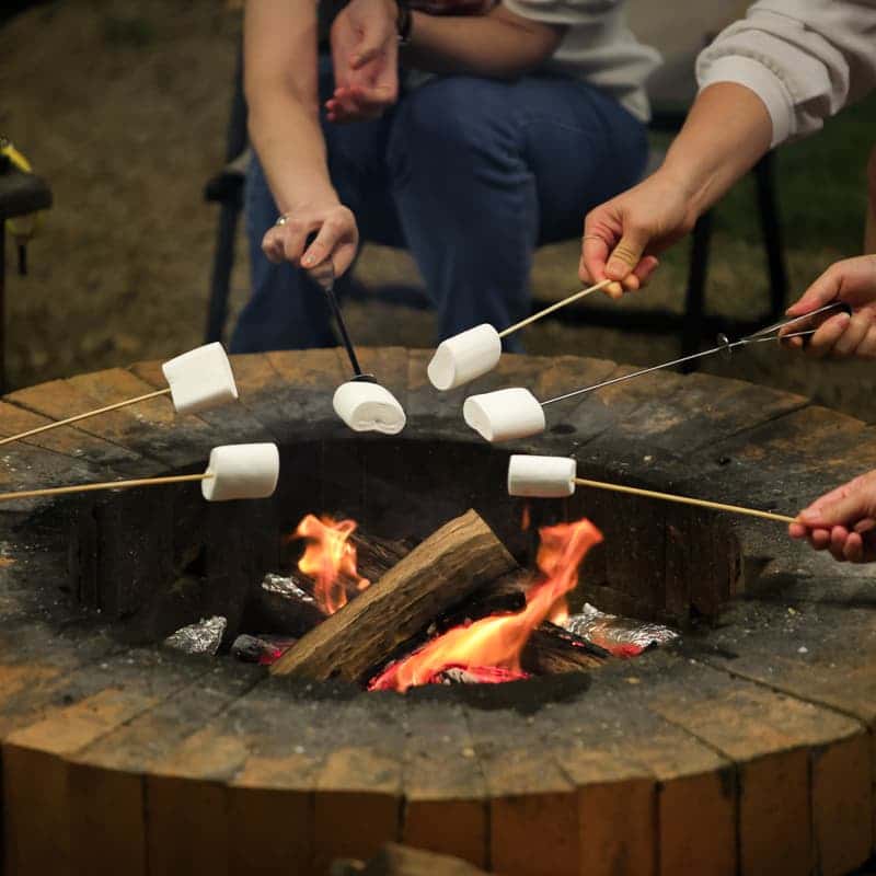 [1박/완도] 아내의 소리 산책ㅣ바다치유길 소리산책+완도바다한상+카라반+포니 체험🐴 사진 8