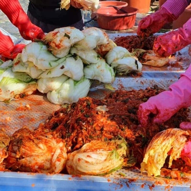 [영월/숙박] 333김장축제 '삼돌이로 살아보기' 🥬