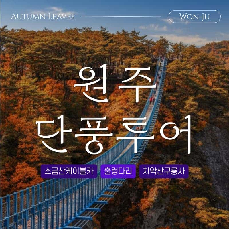 [원주/당일] 단풍 투어🍁 소금산 그랜드밸리 케이블카/출렁다리+치악산 구룡사+더덕구이 사진 1