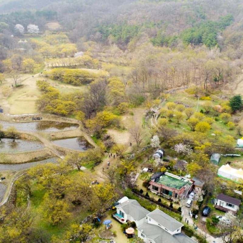 [이천/1박] 향기가 머무는 산수유마을 한옥스테이🍒 사진 5