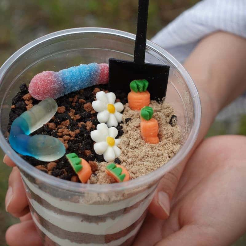 [당일/담양] 곤충으로 만드는 지속가능한 내일, 미래 단백질 체험🐛✨ 사진 3