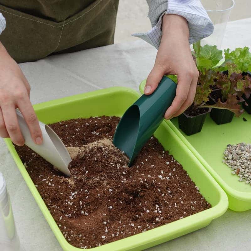 [당일/담양] 곤충으로 만드는 지속가능한 내일, 미래 단백질 체험🐛✨ 사진 2