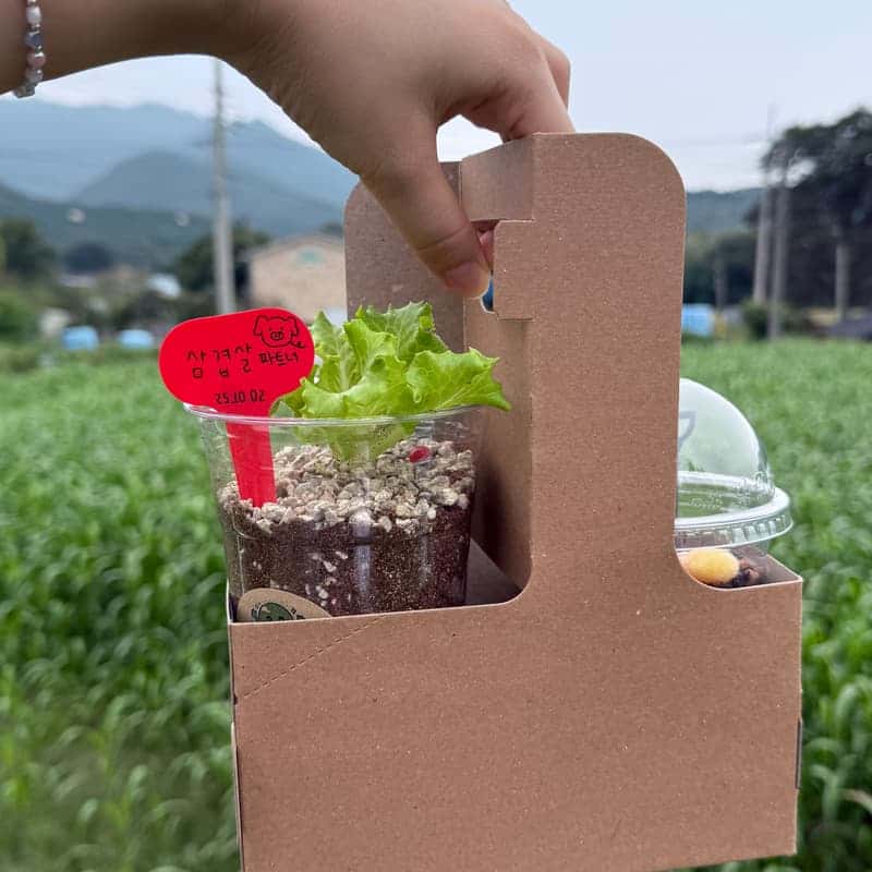 [당일/담양] 곤충으로 만드는 지속가능한 내일, 미래 단백질 체험🐛✨ 사진 4