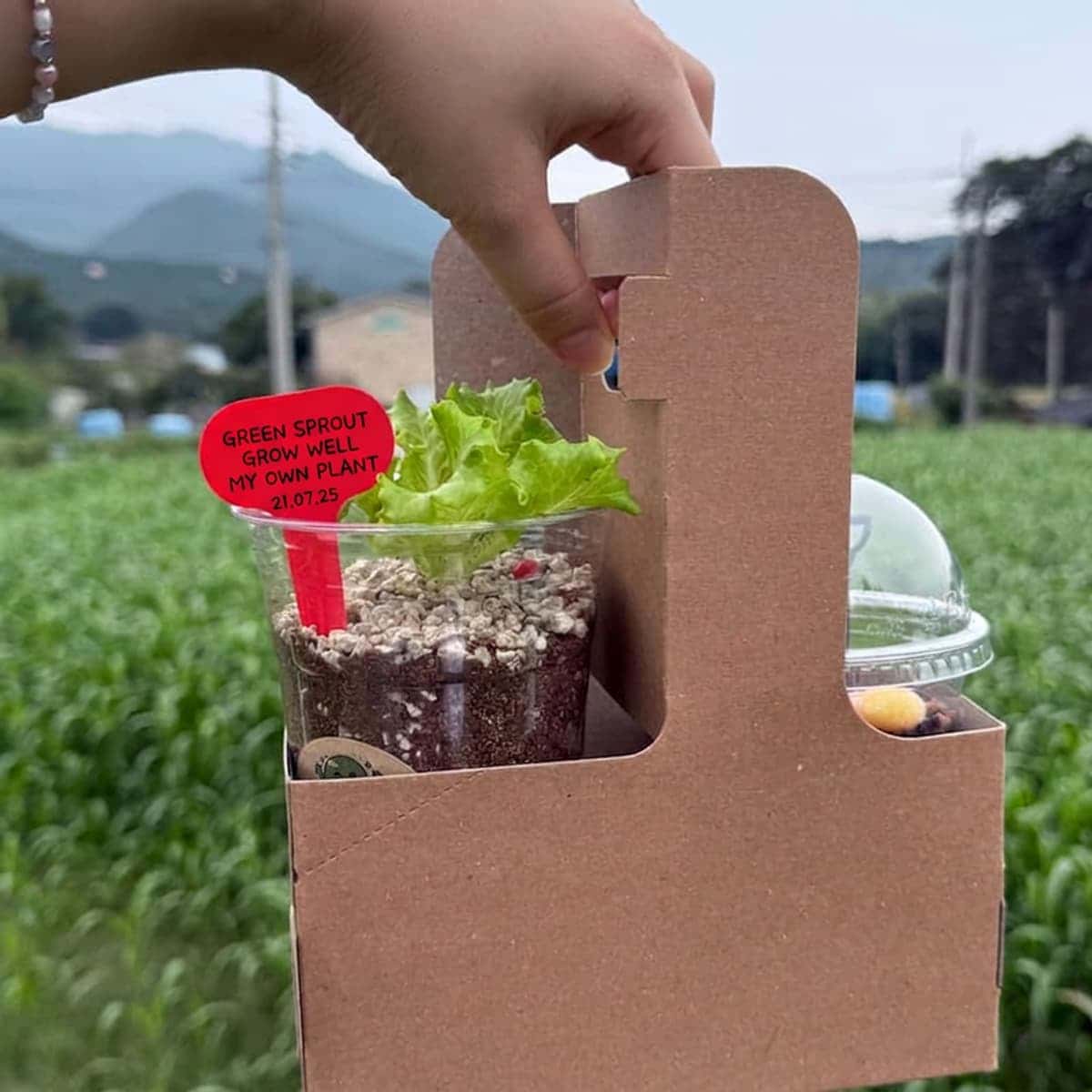 [Day Trip/Damyang] A Sustainable Tomorrow Made with Insects: Future Protein Experience🐛✨ photo 4