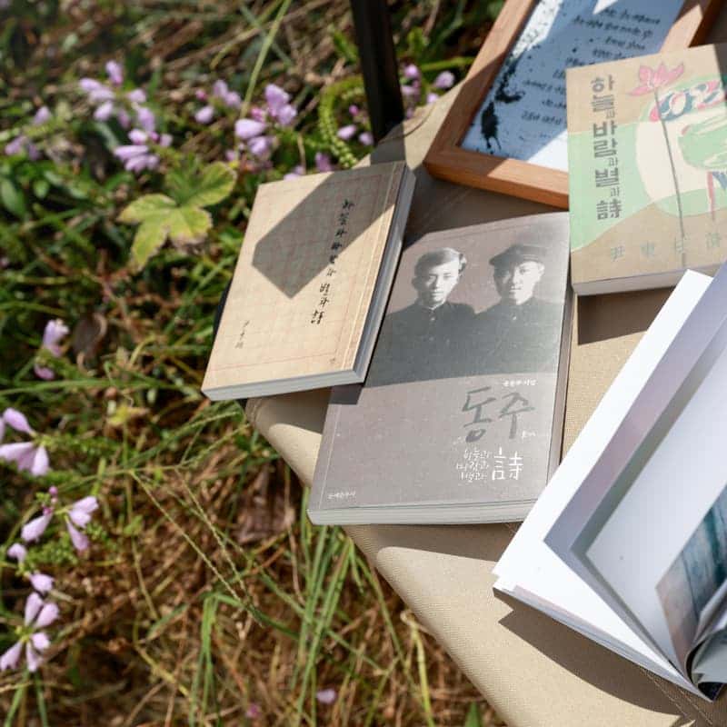 [1박/담양] 달빛무월마을에서 즐기는 '하늘과 바람과 별과 시'🖋️✨ 사진 2