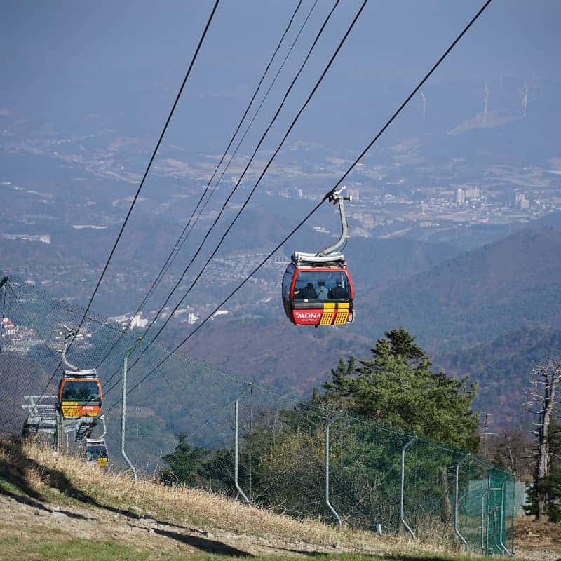 [평창/당일] 단풍 투어🍁 발왕산케이블카+천년주목숲길+오대산 월정사전나무숲+산채정식 사진 2