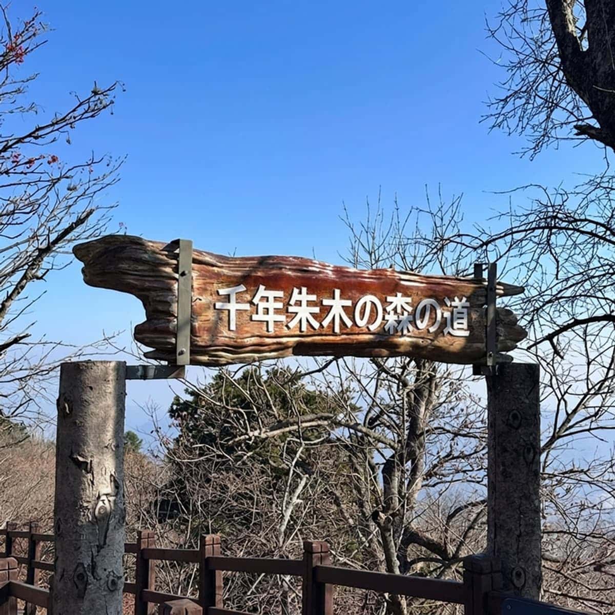 [平昌/日帰り] 紅葉ツアー🍁 発王山ケーブルカー+千年朱木の森の道+五台山月精寺モミの木林+山菜定食の写真5