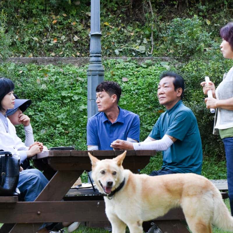 [1박/담양] 대나무 기운 가득! 운수대통마을 힐링스테이 with 수제맥주체험🍺🎋  사진 3