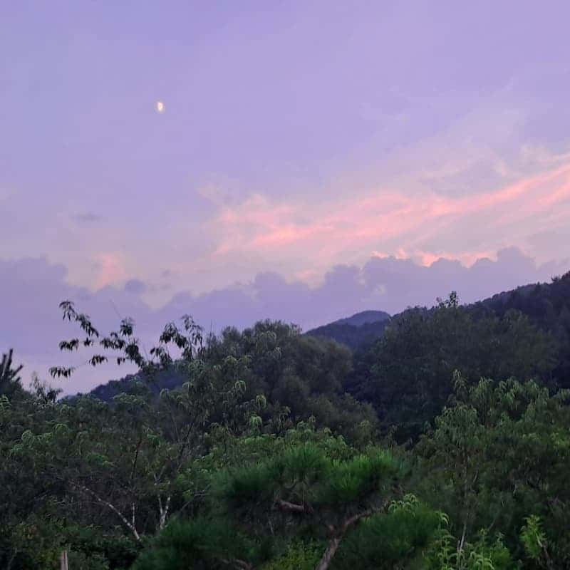 [영월/숙박] 책과 차, 느린 산책으로 쉬어가는 산골 스테이 '삼돌이로 살아보기' 🍵📗 사진 5