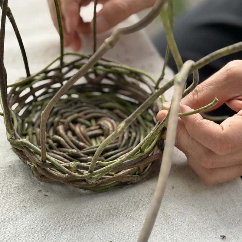 칡 or 노끈으로 바구니를 엮다. 제주 삼달리 감귤밭 리츄얼 [쓸모 없는 것들의 쓸모] 사진 2