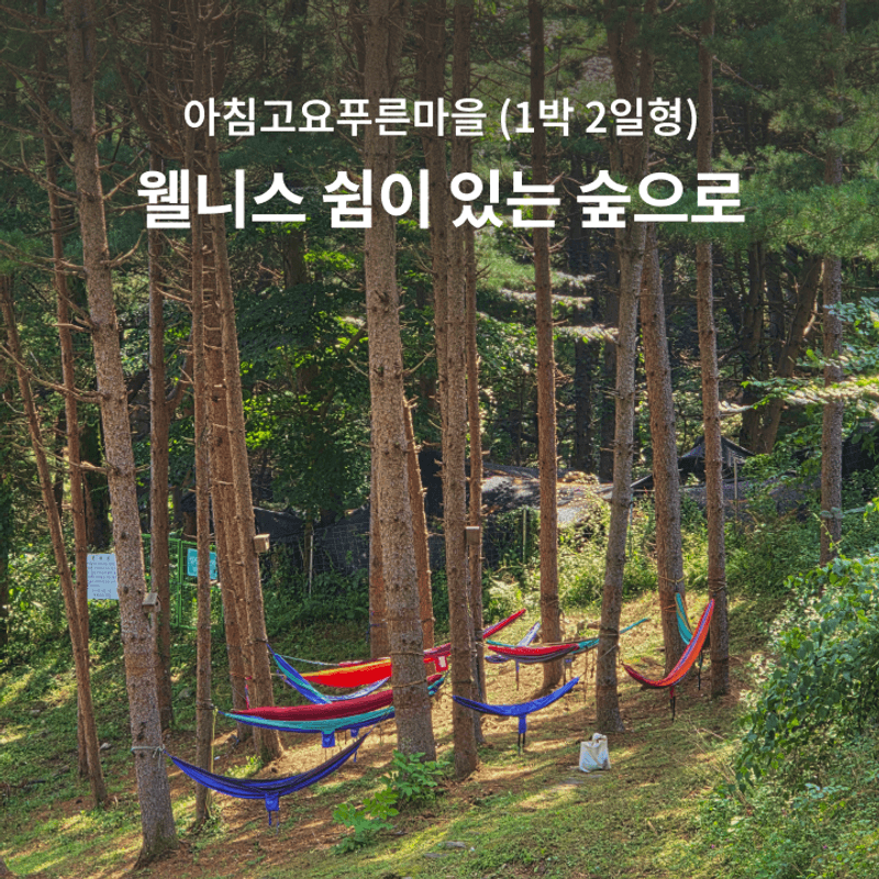 [경기/가평] 쉼이 있는 숲으로, 아침고요푸른마을 1박2일 힐링 스테이