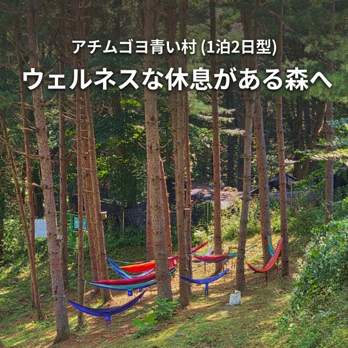 [京畿/加平] 憩いのある森へ、アチムゴヨ青い村 1泊2日ヒーリングステイ