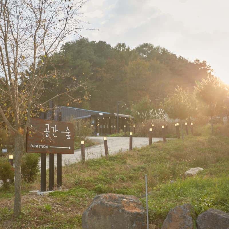 [철원/당일] 37년 사진가의 필름카메라 클래스 ㅣ 공간숲 사진치유 체험 📸🌲 사진 1