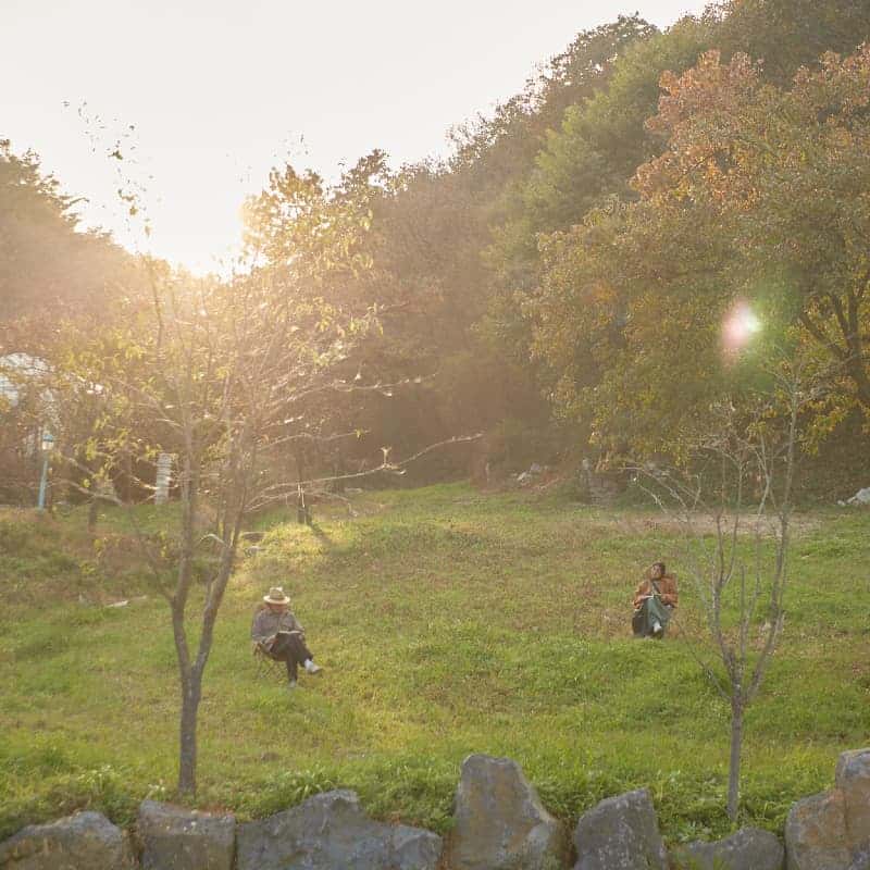 [철원/당일] 37년 사진가의 필름카메라 클래스 ㅣ 공간숲 사진치유 체험 📸🌲 사진 2