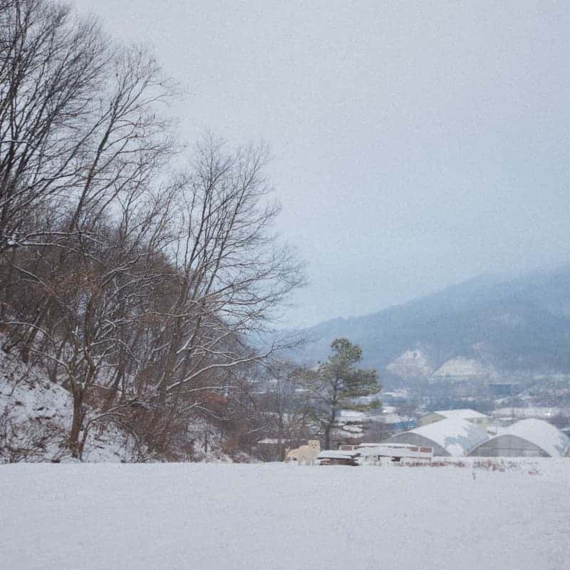 [철원/당일] 37년 사진가의 필름카메라 클래스 ㅣ 공간숲 사진치유 체험 📸🌲 사진 7