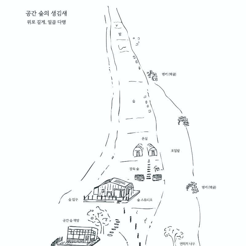 [철원/당일] 37년 사진가의 필름카메라 클래스 ㅣ 공간숲 사진치유 체험 📸🌲 사진 8