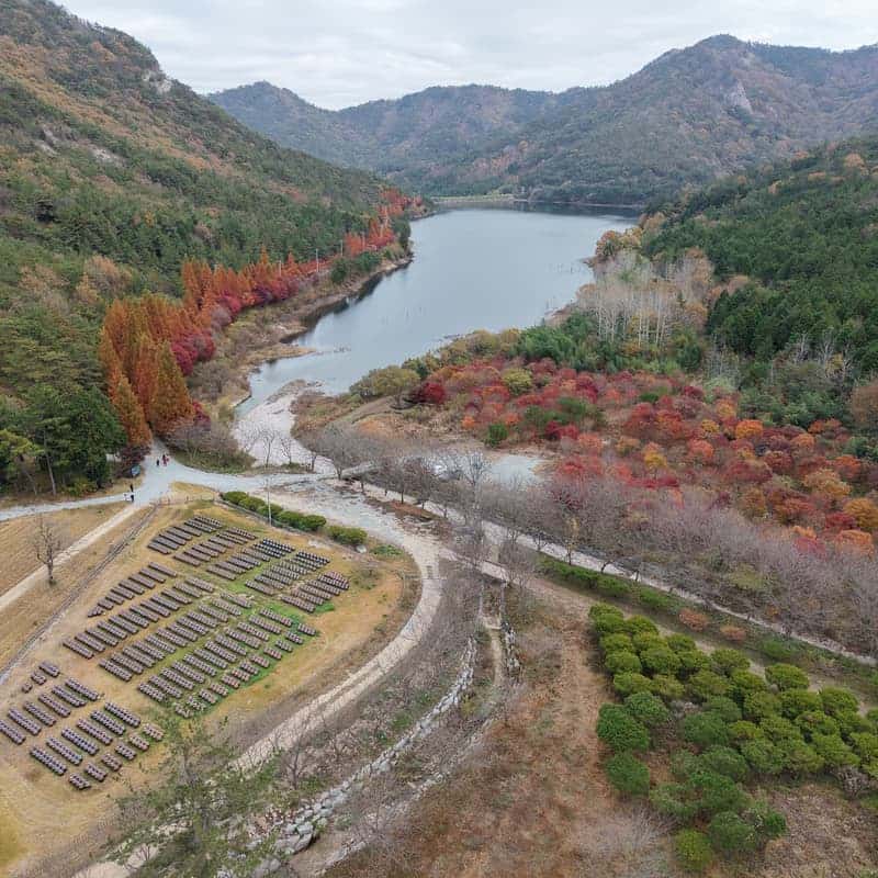 [보성/당일] 시간이 만든 흑초의 깊이를 만나는 체험, 흑초문화공간 초루🍶🖤 사진 3