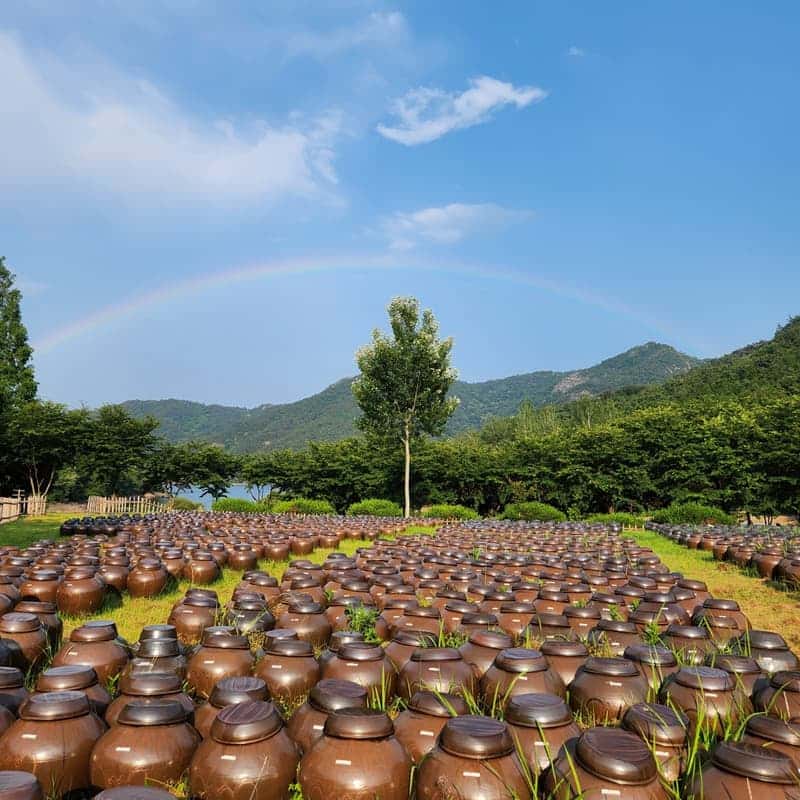 [보성/당일] 시간이 만든 흑초의 깊이를 만나는 체험, 흑초문화공간 초루🍶🖤 사진 4