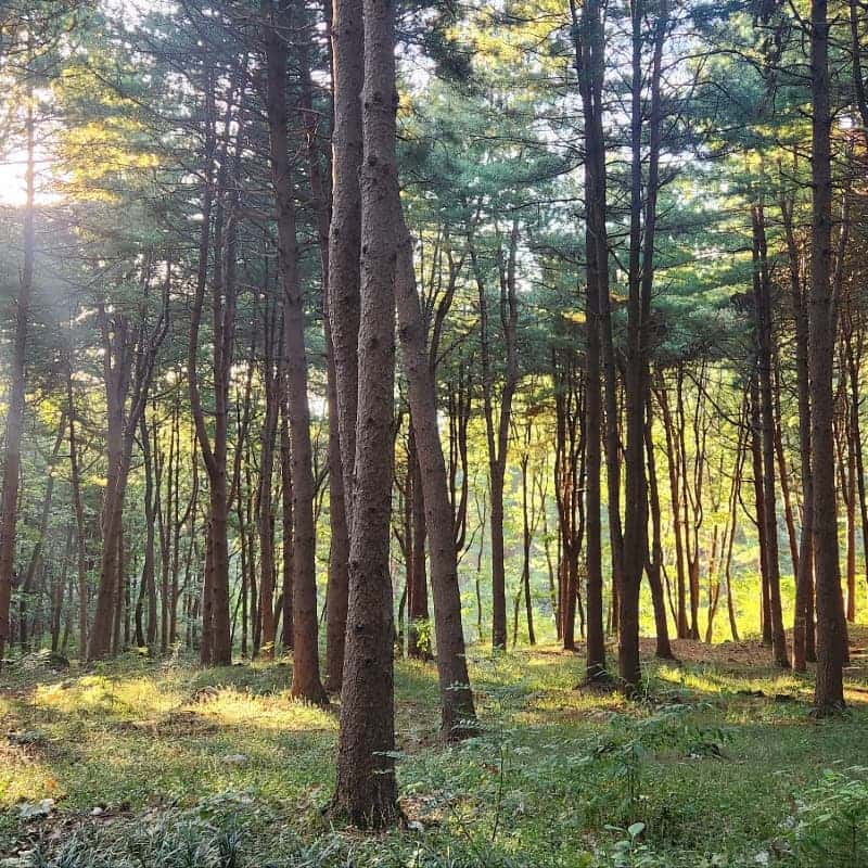[이천/1박] 향기가 머무는 산수유마을 한옥스테이🍒 사진 8
