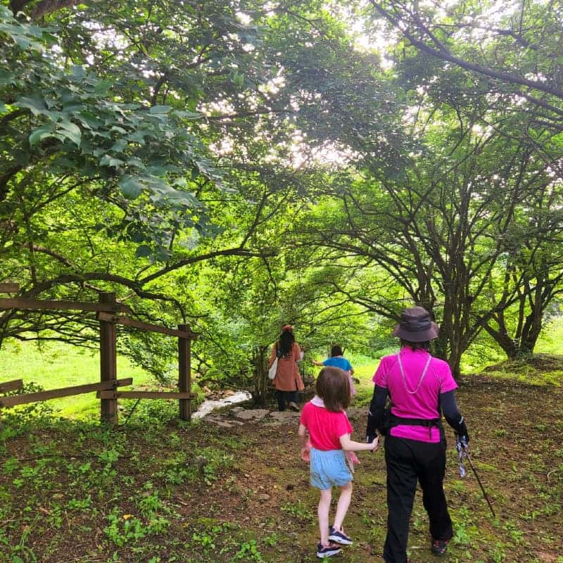 [이천/1박] 향기가 머무는 산수유마을 한옥스테이🍒 사진 7