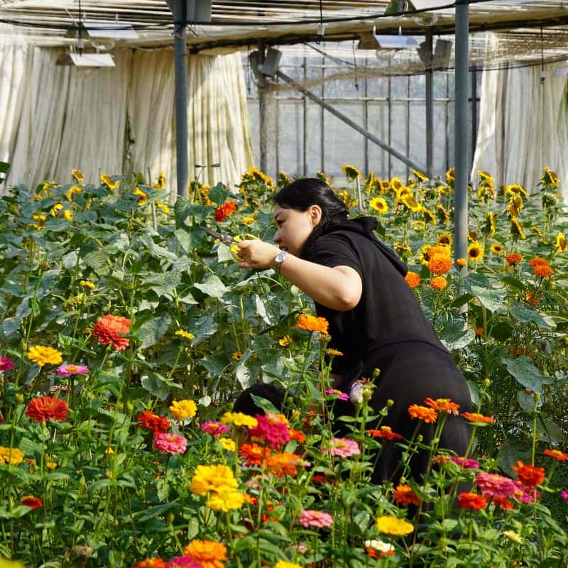 [경남/김해] 플라워팜팜 치유 농업 웰니스 체험 (총 8회차)