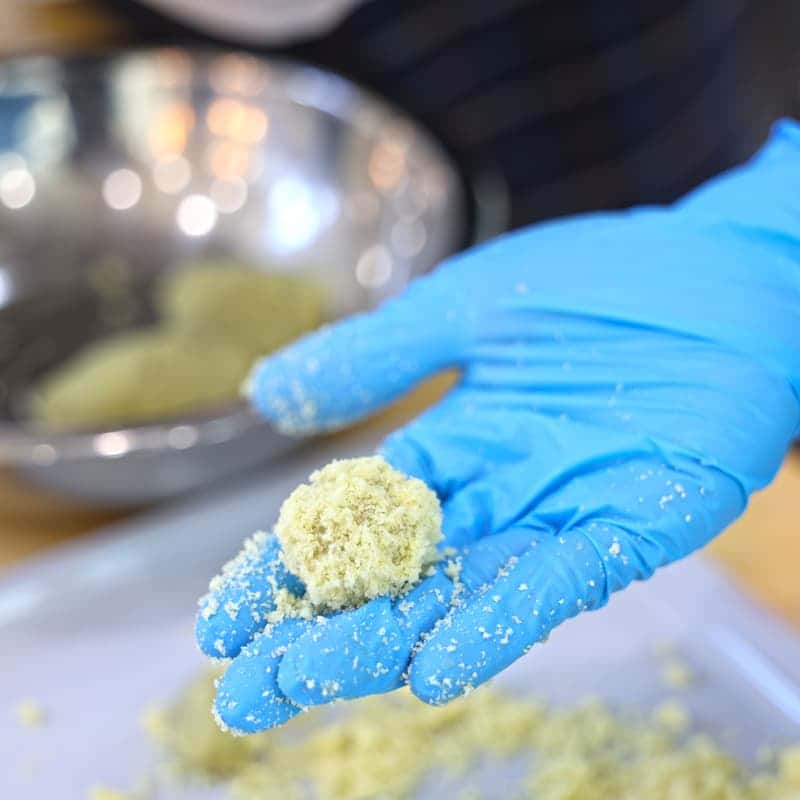 [당일/청양] 오감만족 알프스마을ㅣ고구마경단+동물먹이주기🐰🌿 사진 6