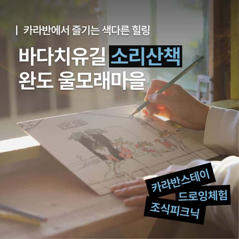 [1박/완도] 아내의 소리 산책ㅣ바다치유길 소리산책+완도바다한상+카라반+포니 체험🐴 사진 1