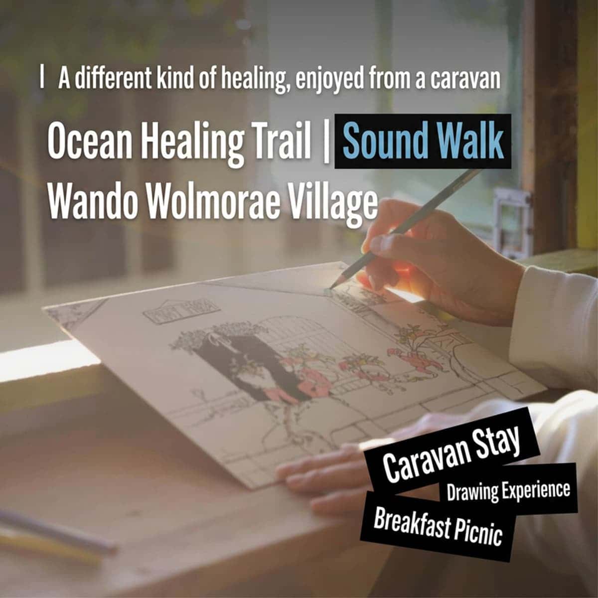 [1 Night/Wando] Wife's Sound Walk ㅣ Ocean Healing Road Sound Walk + Wando Seafood Table + Caravan + Pony Experience 🐴 photo 1
