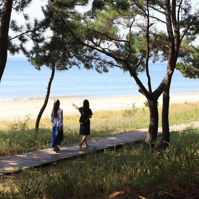 [1박/완도] 아내의 소리 산책ㅣ바다치유길 소리산책+완도바다한상+카라반+포니 체험🐴 사진 5