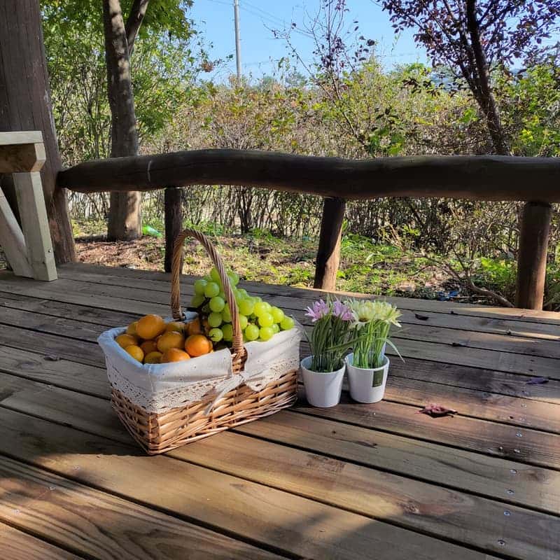 [부여/당일] 백제문화 농촌체험 ㅣ 전통 표고된장 만들기 ⚱️ 사진 7