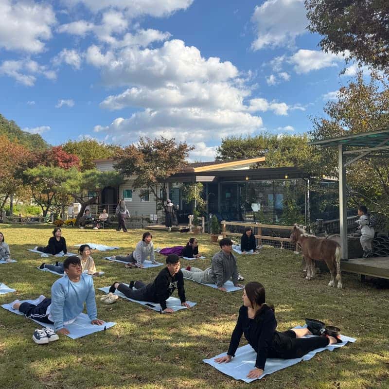 [경산]계곡 옆 숙소에서 타로+사찰투어+보양식2끼