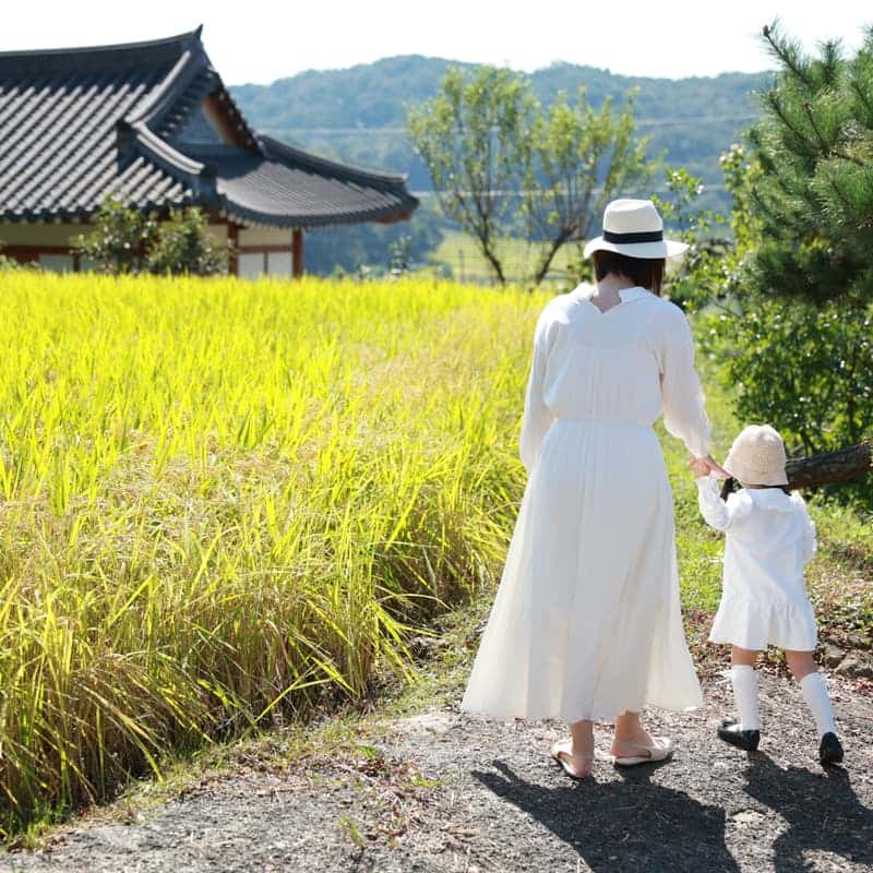 [1박/담양] 달빛무월마을에서 즐기는 '하늘과 바람과 별과 시'🖋️✨ 사진 4