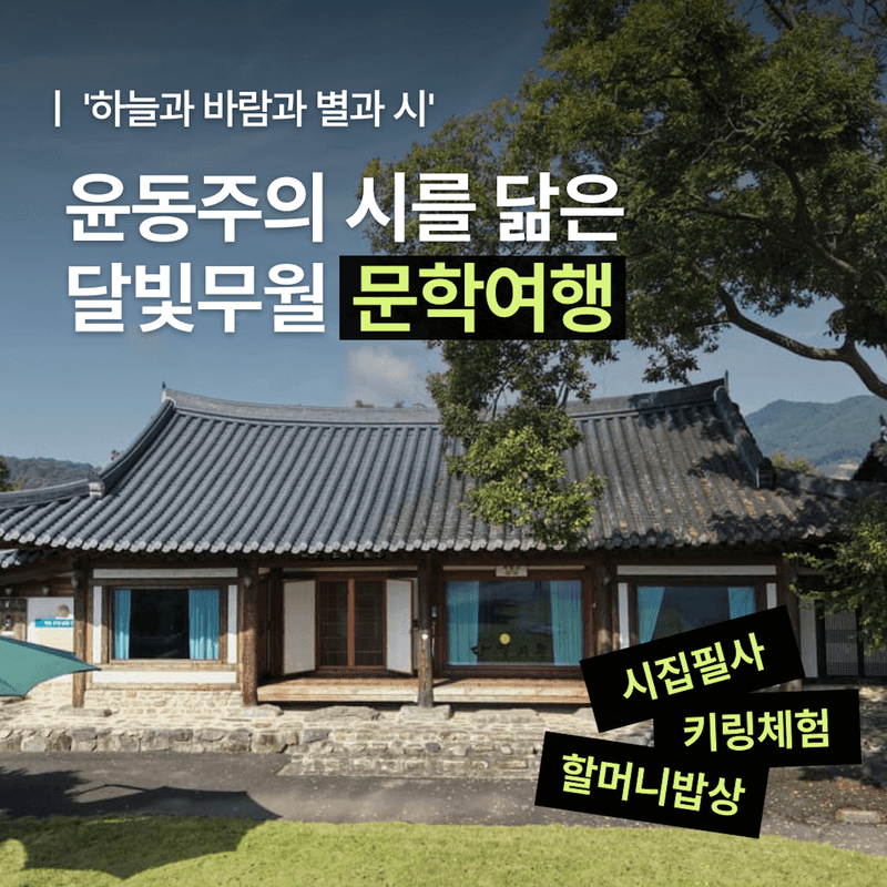 [1박/담양] 달빛무월마을에서 즐기는 '하늘과 바람과 별과 시'🖋️✨ 사진 1