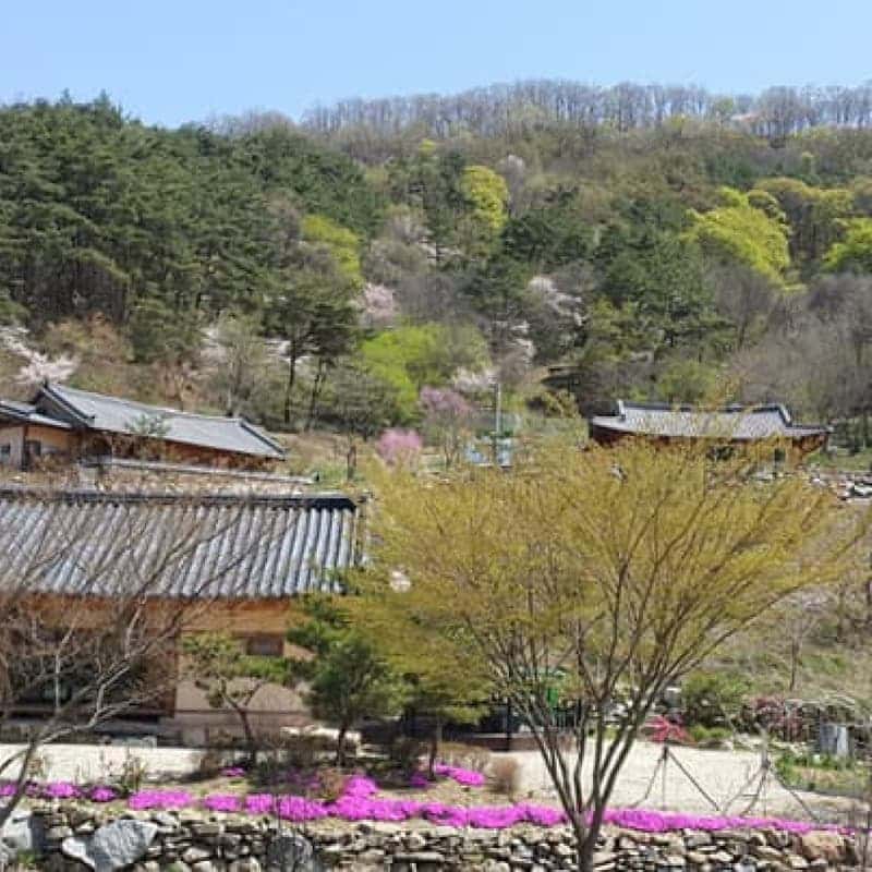 [1박/담양] 대나무 기운 가득! 운수대통마을 힐링스테이 with 수제맥주체험🍺🎋  사진 6