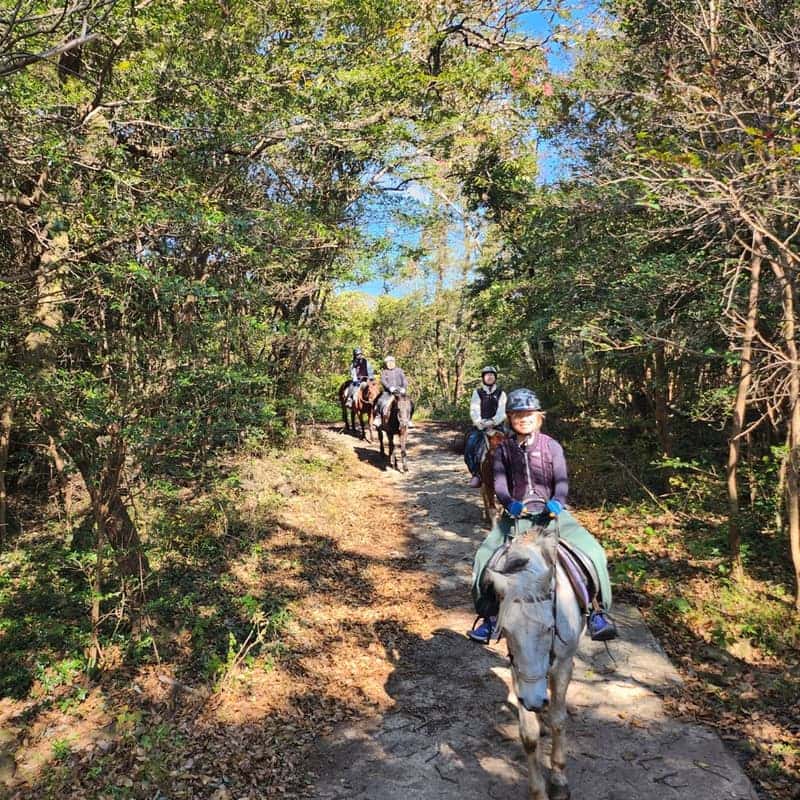[제주/당일] 제주마와 함께하는 승마체험 + 귤꽃차 체험 🐎🍊 사진 3