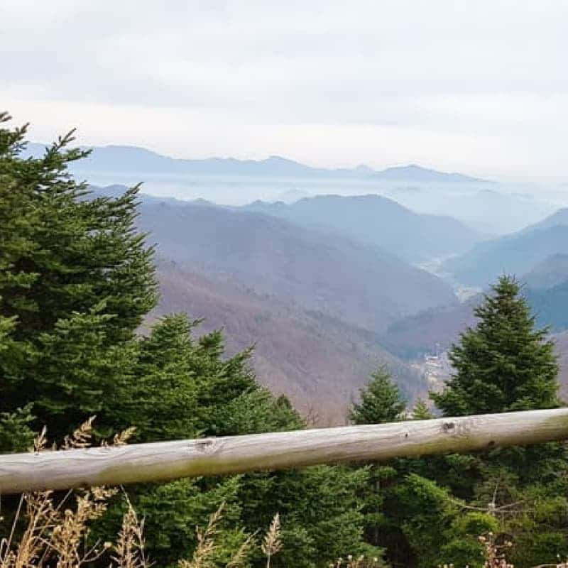 [1박/춘천] 고추장체험+토종닭백숙+불멍 ㅣ 삼악산 아래 달빛 여행 ⛰️🌙 사진 2