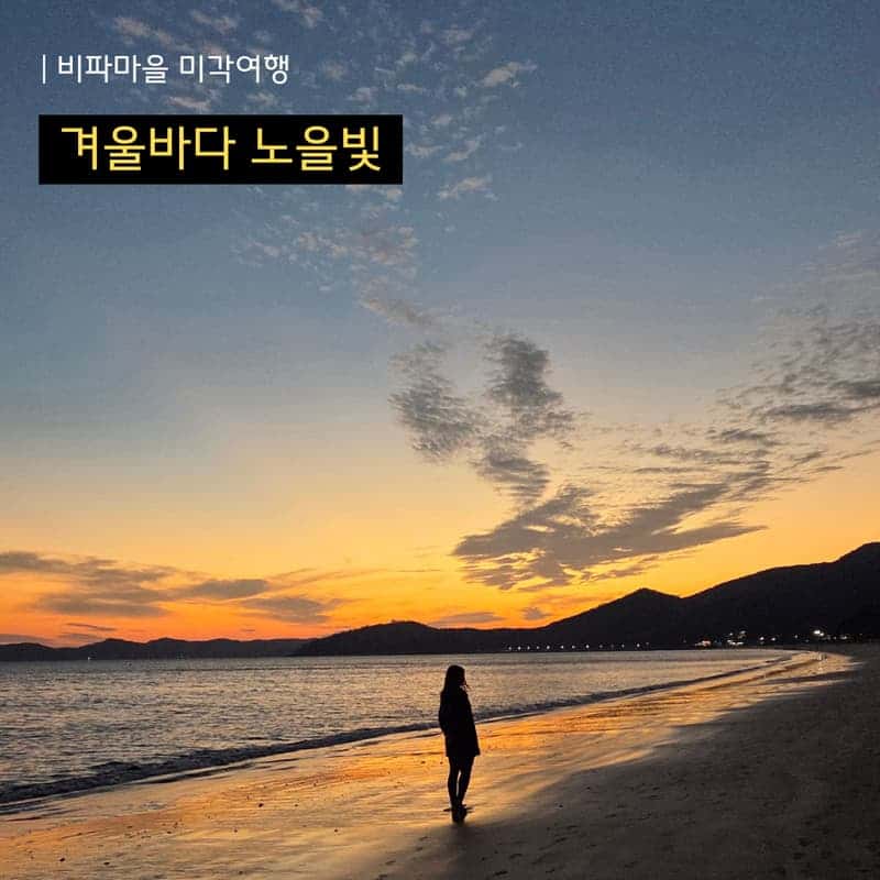 [완도/1박] 비파마을 미각여행ㅣ비파와인과 디저트+베이킹&드로잉 클래스 🧁🎨 사진 2