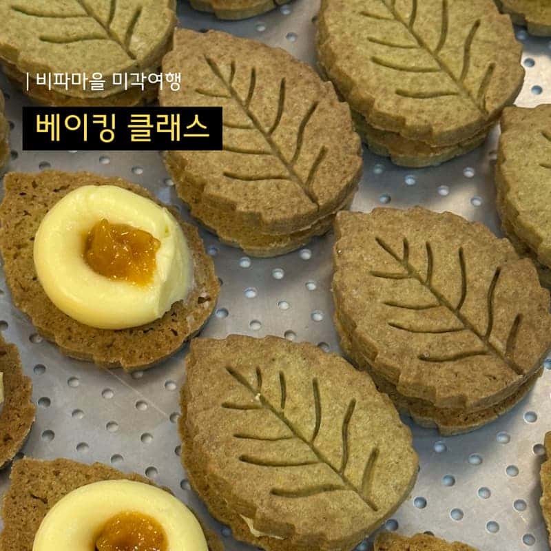 [완도/1박] 비파마을 미각여행ㅣ비파와인과 디저트+베이킹&드로잉 클래스 🧁🎨 사진 6