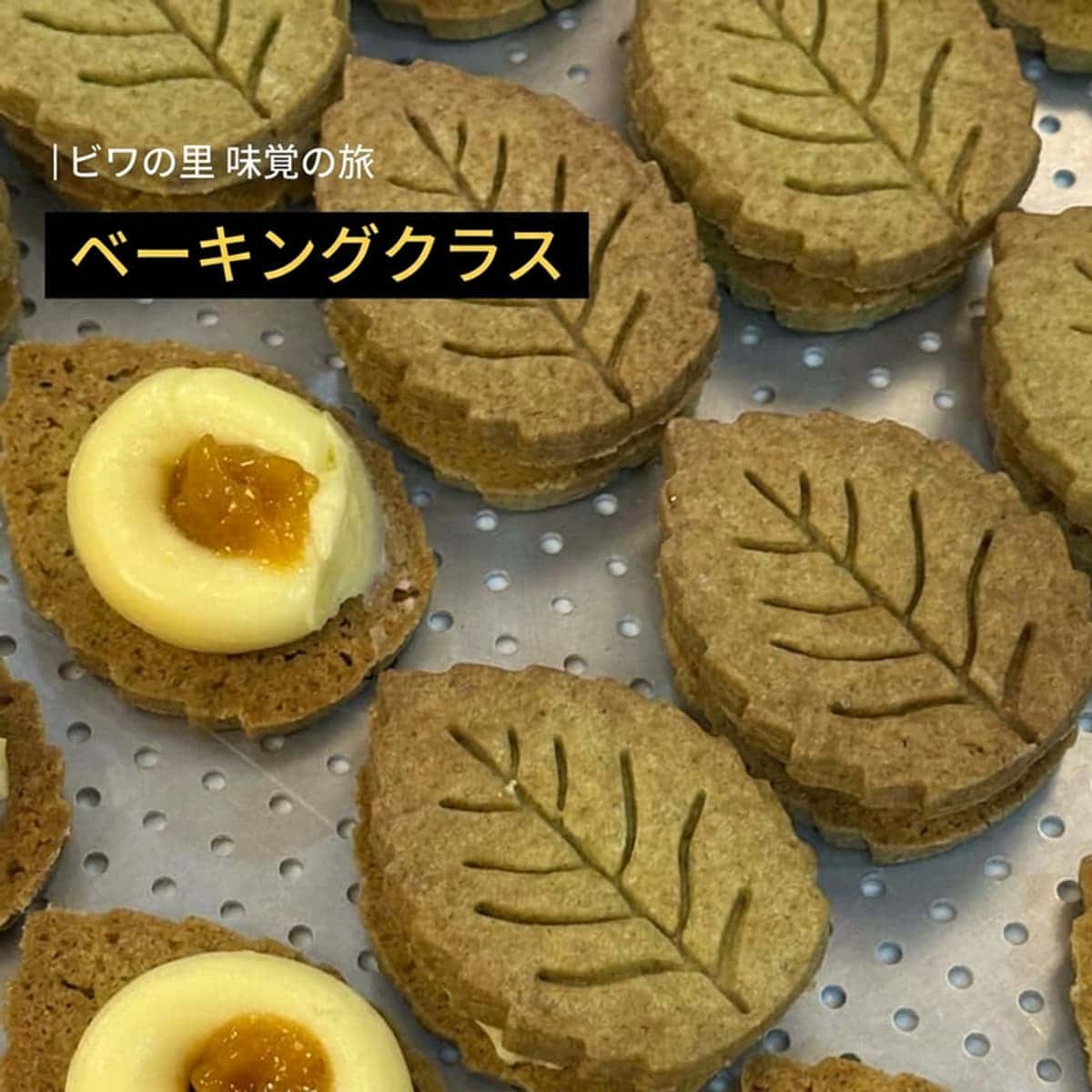 [莞島/1泊] ビワの里 味覚の旅ㅣビワワインとデザート＋ベーキング＆ドローイングクラス 🧁🎨の写真6