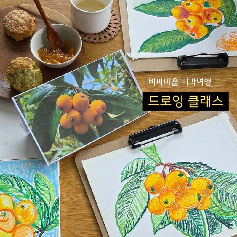 [완도/1박] 비파마을 미각여행ㅣ비파와인과 디저트+베이킹&드로잉 클래스 🧁🎨 사진 7